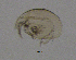  ( - BarCrust 129)  @11 [ ] CreativeCommons - Attribution Non-Commercial Share-Alike (2015) A. Hobæk Norwegian Institute for Water Research