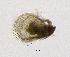  ( - BarCrust 167)  @11 [ ] CreativeCommons - Attribution Non-Commercial Share-Alike (2015) A. Hobæk Norwegian Institute for Water Research