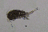  (Eucyclops macrurus - BarCrust 175)  @11 [ ] CreativeCommons - Attribution Non-Commercial Share-Alike (2015) A. Hobæk Norwegian Institute for Water Research