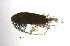  ( - BarCrust 178)  @11 [ ] CreativeCommons - Attribution Non-Commercial Share-Alike (2015) A. Hobæk Norwegian Institute for Water Research