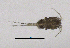  ( - BarCrust 189)  @11 [ ] CreativeCommons - Attribution Non-Commercial Share-Alike (2015) A. Hobæk Norwegian Institute for Water Research