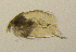  ( - BarCrust 20)  @11 [ ] CreativeCommons - Attribution Non-Commercial Share-Alike (2015) A. Hobæk Norwegian Institute for Water Research