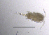  ( - BarCrust 210)  @11 [ ] CreativeCommons - Attribution Non-Commercial Share-Alike (2015) A. Hobæk Norwegian Institute for Water Research