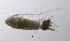  ( - BarCrust 220)  @11 [ ] CreativeCommons - Attribution Non-Commercial Share-Alike (2015) A. Hobæk Norwegian Institute for Water Research