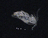  ( - BarCrust 246)  @11 [ ] CreativeCommons - Attribution Non-Commercial Share-Alike (2015) A. Hobæk Norwegian Institute for Water Research