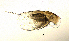  ( - BarCrust 25)  @11 [ ] CreativeCommons - Attribution Non-Commercial Share-Alike (2015) A. Hobæk Norwegian Institute for Water Research