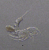  ( - BarCrust 290)  @11 [ ] CreativeCommons - Attribution Non-Commercial Share-Alike (2015) A. Hobæk Norwegian Institute for Water Research
