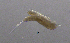 ( - BarCrust 291)  @11 [ ] CreativeCommons - Attribution Non-Commercial Share-Alike (2015) A. Hobæk Norwegian Institute for Water Research
