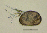  ( - BarCrust 366)  @11 [ ] CreativeCommons - Attribution Non-Commercial Share-Alike (2015) A. Hobæk Norwegian Institute for Water Research