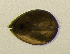  ( - BarCrust 372)  @11 [ ] CreativeCommons - Attribution Non-Commercial Share-Alike (2015) A. Hobæk Norwegian Institute for Water Research
