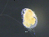  ( - BarCrust 425)  @11 [ ] CreativeCommons - Attribution Non-Commercial Share-Alike (2015) A. Hobæk Norwegian Institute for Water Research