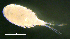  ( - BarCrust 447)  @11 [ ] CreativeCommons - Attribution Non-Commercial Share-Alike (2015) A. Hobæk Norwegian Institute for Water Research