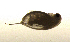  ( - BarCrust 67)  @11 [ ] CreativeCommons - Attribution Non-Commercial Share-Alike (2015) A. Hobæk Norwegian Institute for Water Research