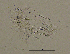  (Limnosida - BarCrust 75)  @11 [ ] CreativeCommons - Attribution Non-Commercial Share-Alike (2015) A. Hobæk Norwegian Institute for Water Research