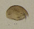  ( - BarCrust 85)  @11 [ ] CreativeCommons - Attribution Non-Commercial Share-Alike (2015) A. Hobæk Norwegian Institute for Water Research