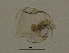  ( - BarCrust 99)  @11 [ ] CreativeCommons - Attribution Non-Commercial Share-Alike (2015) A. Hobæk Norwegian Institute for Water Research