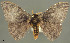  ( - YB-BCI145188)  @11 [ ] No Rights Reserved  Unspecified Unspecified