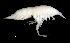  (Parpano - 7-9E_Pard5_2012_1)  @11 [ ] CreativeCommons  Attribution Non-Commercial Share-Alike (2021) Anna Jazdzewska University of Lodz, Dept of Invertebrate Zoology and Hydrobiology