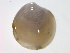  ( - 11BIOAK-0119)  @12 [ ] CreativeCommons - Attribution  Unspecified Centre for Biodiversity Genomics