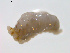  ( - 11BIOAK-0286)  @12 [ ] CreativeCommons - Attribution  Unspecified Centre for Biodiversity Genomics