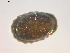  ( - 11BIOAK-0629)  @12 [ ] CreativeCommons - Attribution  Unspecified Centre for Biodiversity Genomics