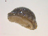  ( - 11BIOAK-0629)  @13 [ ] CreativeCommons - Attribution  Unspecified Centre for Biodiversity Genomics