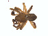 ( - BIOUG02049-G01)  @13 [ ] CC-0  G. Blagoev 2011 Unspecified