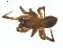  ( - BIOUG02049-G04)  @13 [ ] CC-0  G. Blagoev 2011 Unspecified