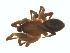  ( - BIOUG02049-G06)  @13 [ ] CC-0  G. Blagoev 2011 Unspecified