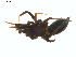  ( - BIOUG02049-G08)  @12 [ ] CC-0  G. Blagoev 2011 Unspecified