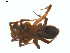  ( - BIOUG02049-G11)  @12 [ ] CC-0  G. Blagoev 2011 Unspecified