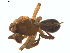  ( - BIOUG02049-H02)  @12 [ ] CC-0  G. Blagoev 2011 Unspecified