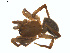  ( - BIOUG02049-H05)  @12 [ ] CC-0  G. Blagoev 2011 Unspecified