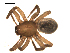  ( - CCDB-05258-D05)  @14 [ ] CreativeCommons - Attribution  Gergin Blagoev, Centre for Biodiversity Genomics Centre for Biodiversity Genomics