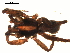  ( - CCDB-05258-G01)  @12 [ ] CreativeCommons - Attribution  Gergin Blagoev, Centre for Biodiversity Genomics Centre for Biodiversity Genomics