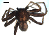  ( - CCDB-08822-A01)  @12 [ ] CC-0  G. Blagoev 2010 Unspecified