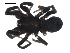  ( - CCDB-08822-B10)  @13 [ ] CC-0  G. Blagoev 2010 Unspecified