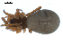  ( - CCDB-08822-H02)  @12 [ ] CC-0  G. Blagoev 2010 Unspecified
