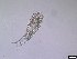  ( - 1607_13-6-90)  @11 [ ] Unspecified (default): All Rights Reserved  Unspecified Unspecified
