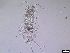  ( - 1665_14-7-92)  @11 [ ] Unspecified (default): All Rights Reserved  Frederic Bonk Unspecified