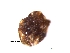  ( - Hedaya13)  @11 [ ] Copyright (2013) Dr. Hosam Elansary Alexandria University