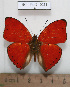 ( - BC - Ph. O 0211)  @12 [ ] CreativeCommons - Attribution Non-Commercial Share-Alike  Philippe OREMANS Unspecified