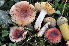  ( - BGE_00472_C12)  @11 [ ] Copyright (2024) Luciano Michelin None