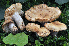  ( - BGE_00473_A04)  @11 [ ] Copyright (2024) Luciano Michelin None