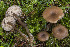  ( - BGE_00473_C08)  @11 [ ] Copyright (2024) Renato Jonny Ferrari none
