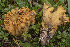  ( - BGE_00473_E12)  @11 [ ] Copyright (2024) Renato Jonny Ferrari none
