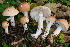  ( - BGE_00479_D12)  @11 [ ] Copyright (2024) Marco Floriani None