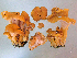 (Craterellus ianthinoxanthus - BGE_00481_B09)  @11 [ ] Copyright (2024) Fabio Padovan None
