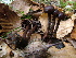  ( - BGE_00481_D06)  @11 [ ] Copyright (2024) Fabio Padovan None