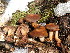  ( - BGE_00481_D09)  @11 [ ] Copyright (2024) Fabio Padovan None